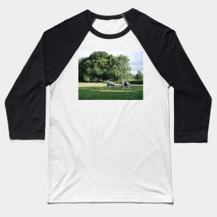 Ponies grazing in the woodland Baseball T-Shirt